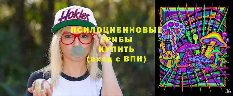 Псилоцибиновые грибы GOLDEN TEACHER  Заозёрный 